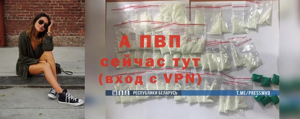 гидра Белокуриха