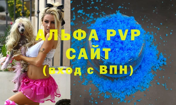 PSILOCYBIN Беломорск