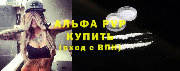 гидра Белокуриха