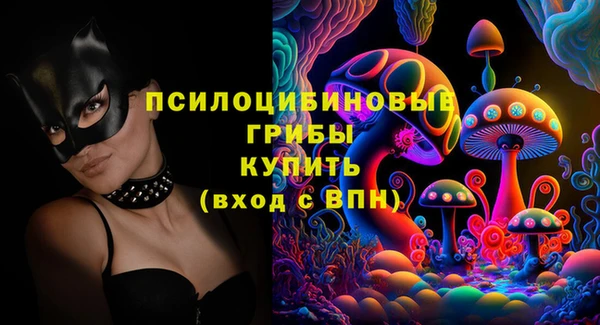 PSILOCYBIN Беломорск