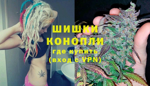 PSILOCYBIN Беломорск