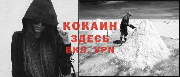 гидра Белокуриха