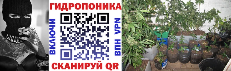 Бошки Шишки семена  MEGA зеркало  Верхняя Салда 